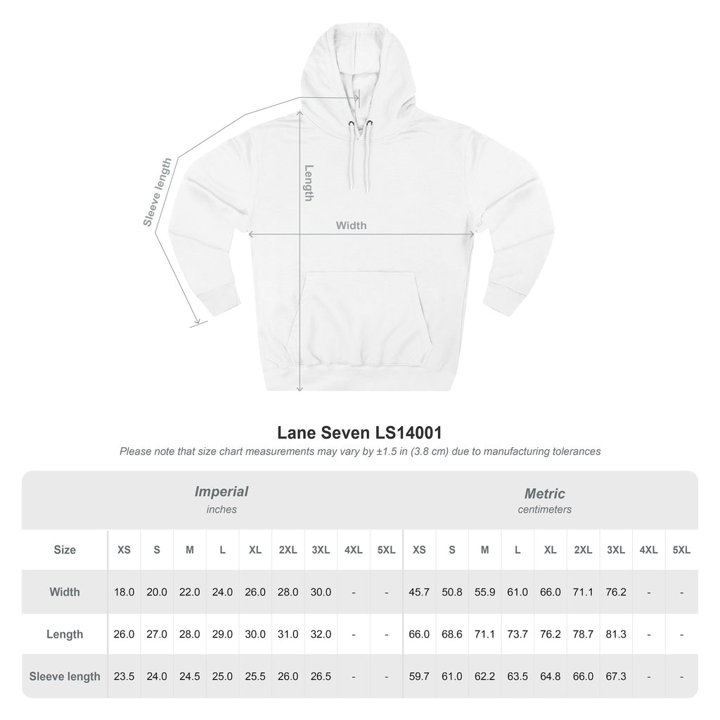 Lion Graphic Hoodie – “It’s Better to Be a Lion” Inspirational Pullover