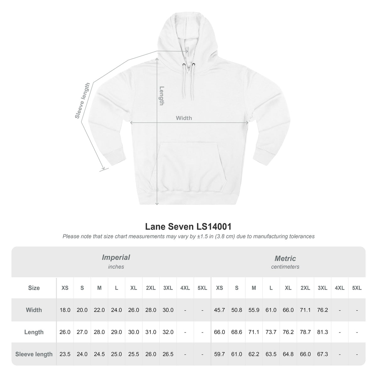 Lion Graphic Hoodie – “It’s Better to Be a Lion” Inspirational Pullover