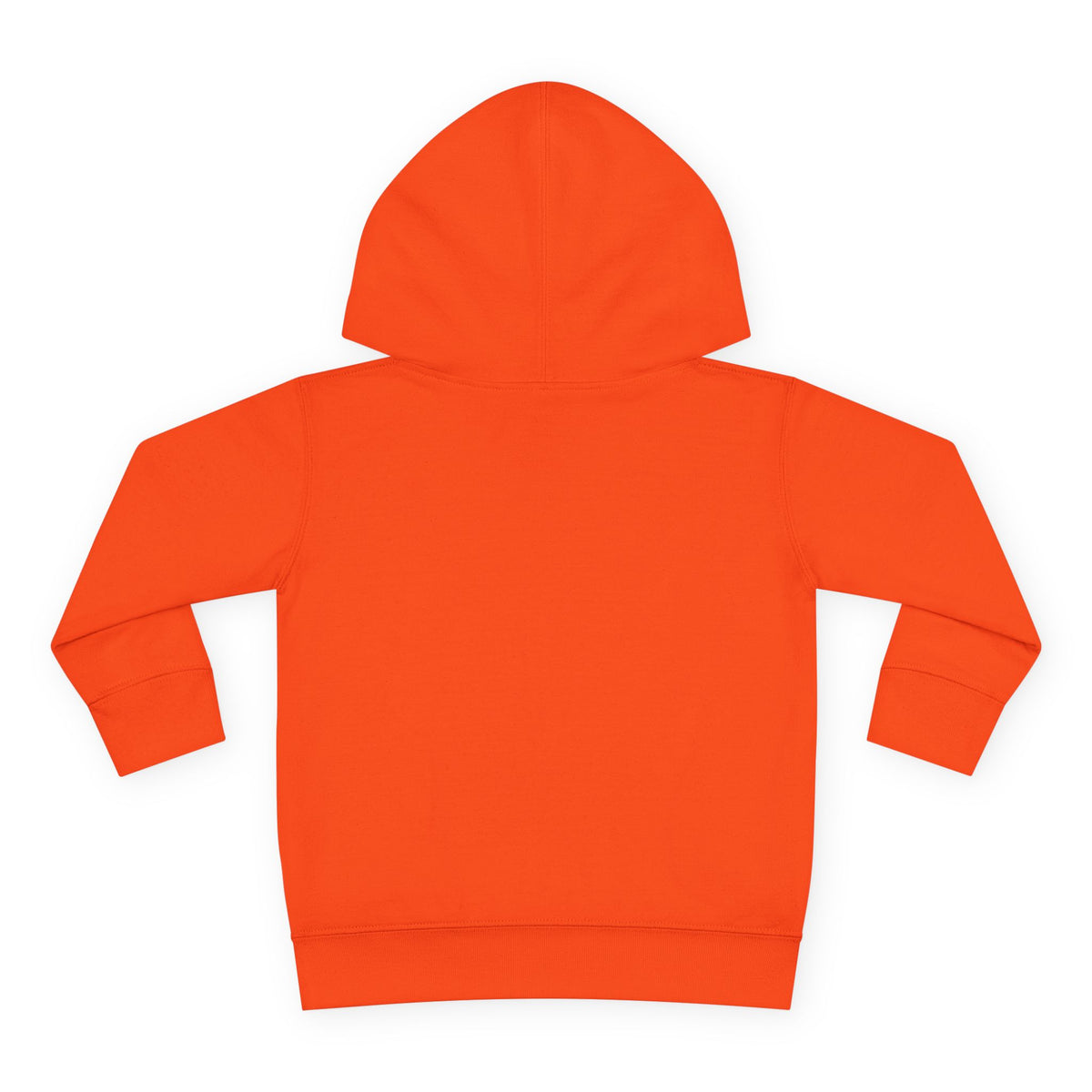 Toddler Hoodie - Santa Sleigh Winter Scene Pullover Christmas Special