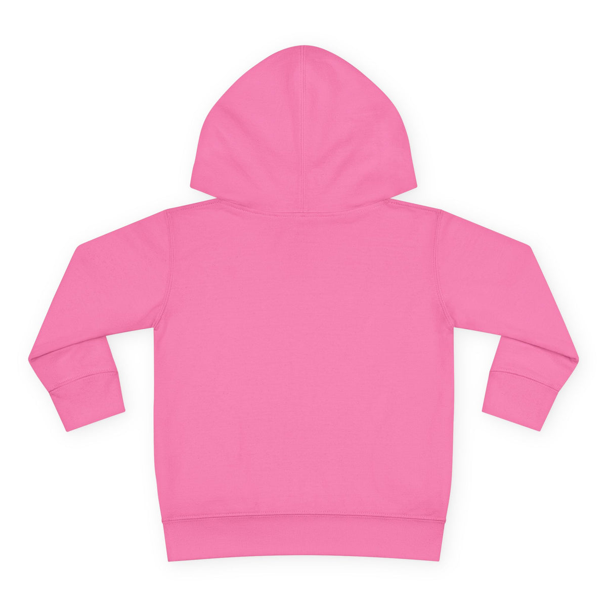 Toddler Hoodie - Santa Sleigh Winter Scene Pullover Christmas Special