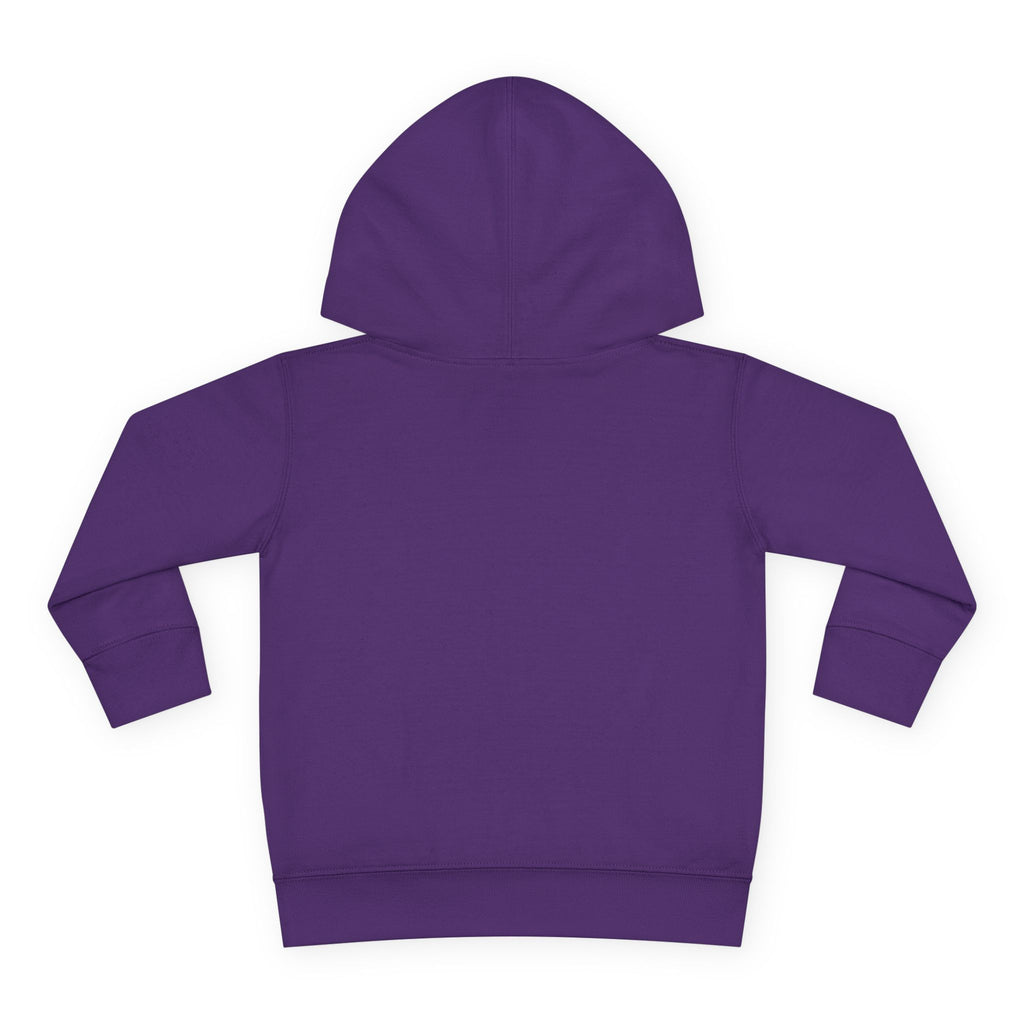Toddler Hoodie - Santa Sleigh Winter Scene Pullover Christmas Special
