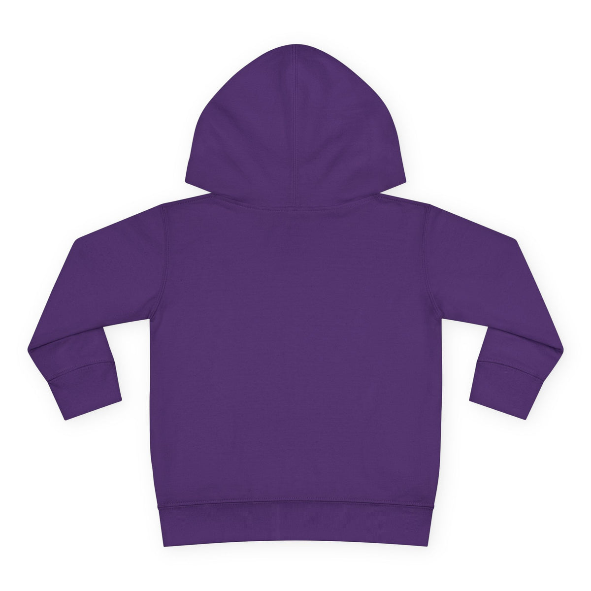 Toddler Hoodie - Santa Sleigh Winter Scene Pullover Christmas Special