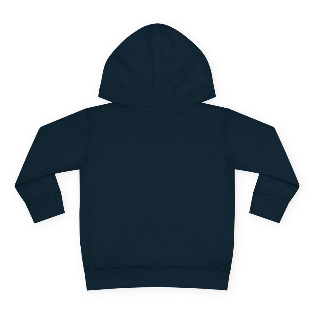 Toddler Hoodie - Santa Sleigh Winter Scene Pullover Christmas Special