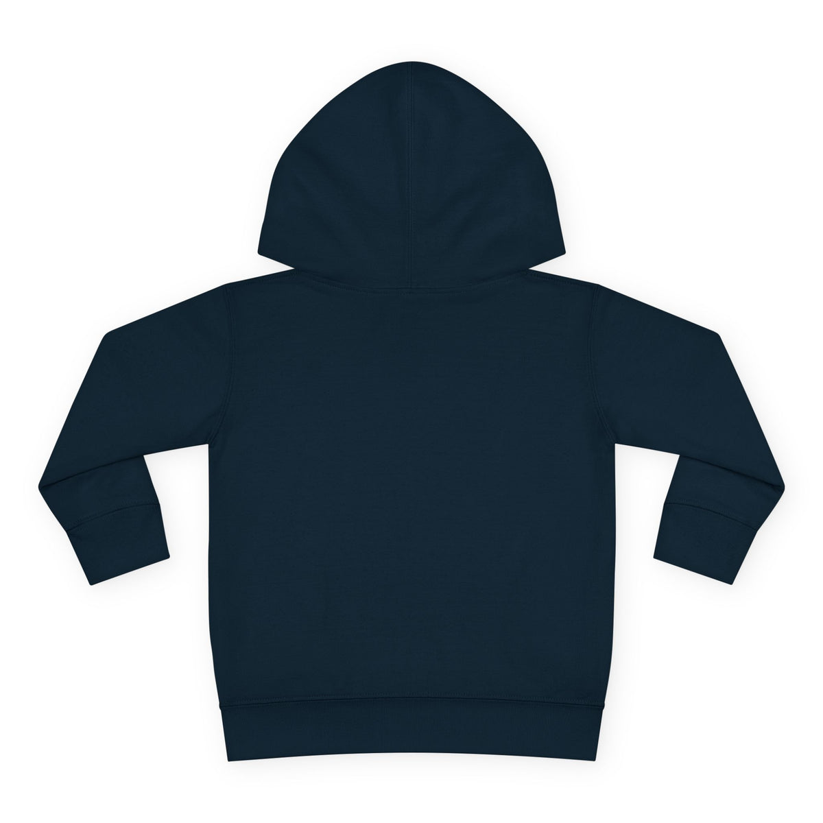 Toddler Hoodie - Santa Sleigh Winter Scene Pullover Christmas Special