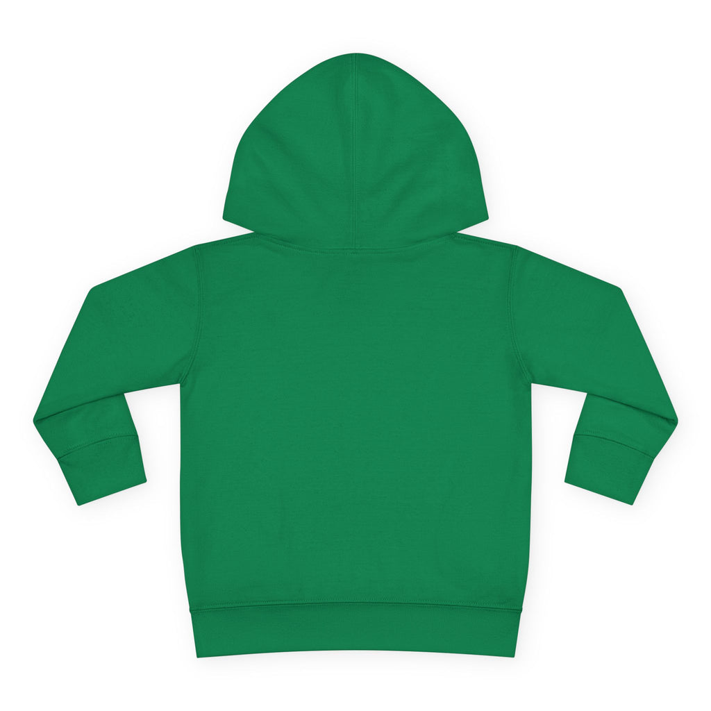 Toddler Hoodie - Santa Sleigh Winter Scene Pullover Christmas Special