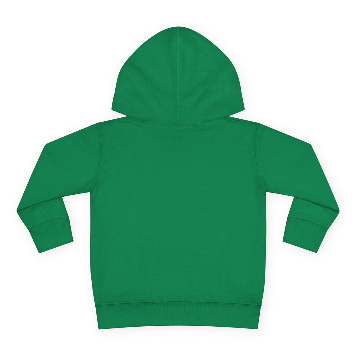 Toddler Hoodie - Santa Sleigh Winter Scene Pullover Christmas Special