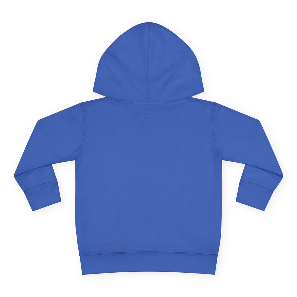 Toddler Hoodie - Santa Sleigh Winter Scene Pullover Christmas Special