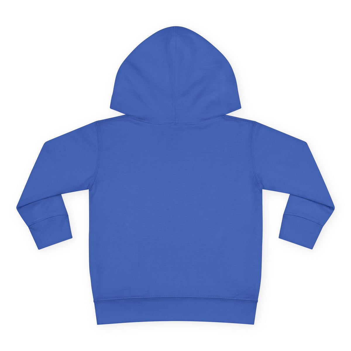 Toddler Hoodie - Santa Sleigh Winter Scene Pullover Christmas Special