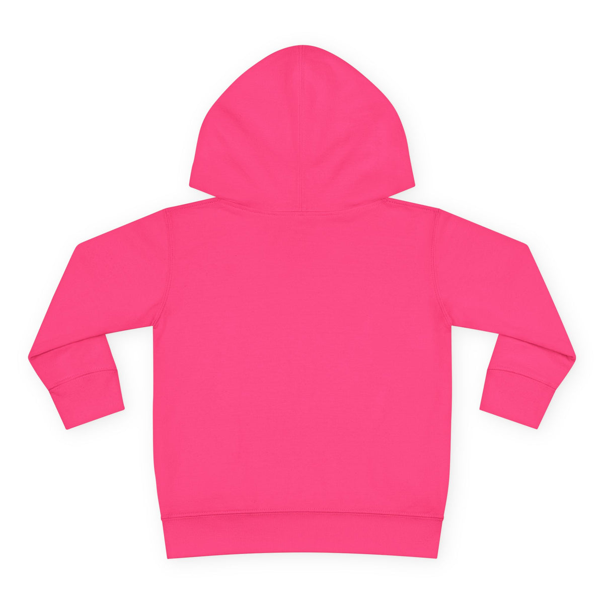 Toddler Hoodie - Santa Sleigh Winter Scene Pullover Christmas Special