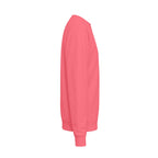 Unisex Midweight Softstyle Fleece Crewneck Sweatshirt