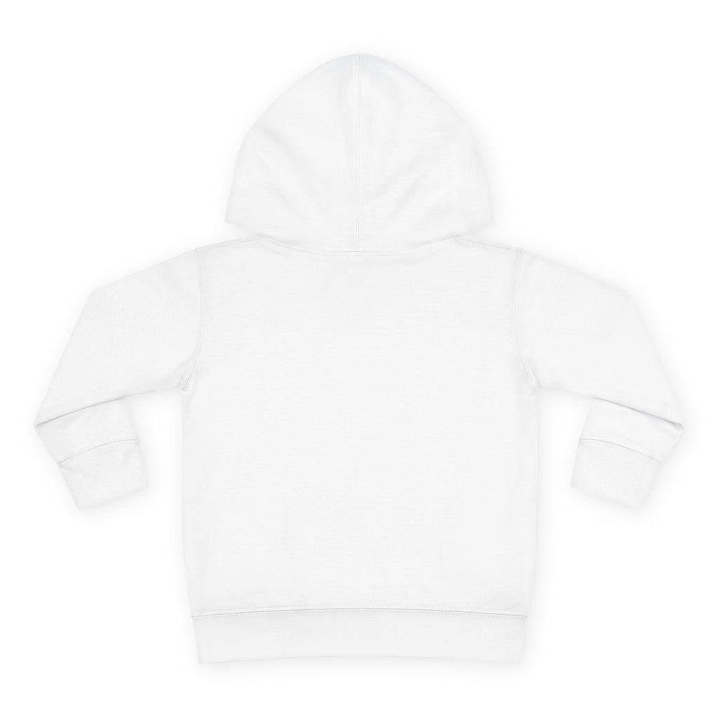 Toddler Hoodie - Santa Sleigh Winter Scene Pullover Christmas Special