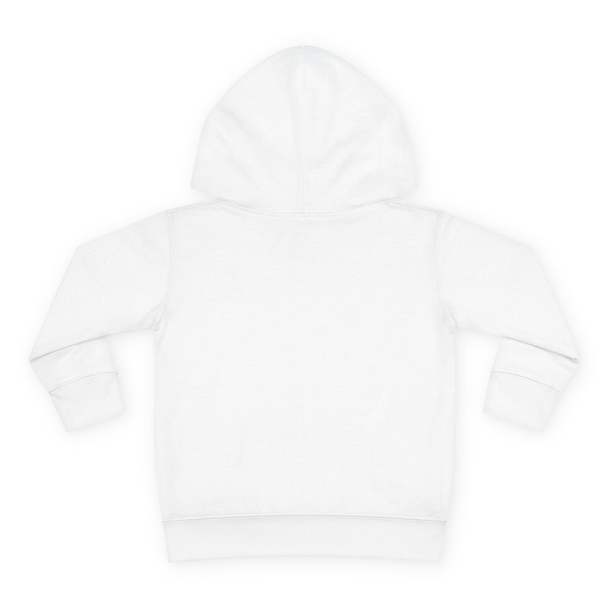 Toddler Hoodie - Santa Sleigh Winter Scene Pullover Christmas Special