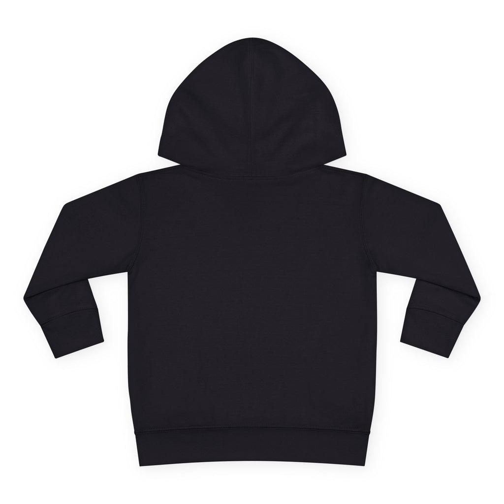 Toddler Hoodie - Santa Sleigh Winter Scene Pullover Christmas Special