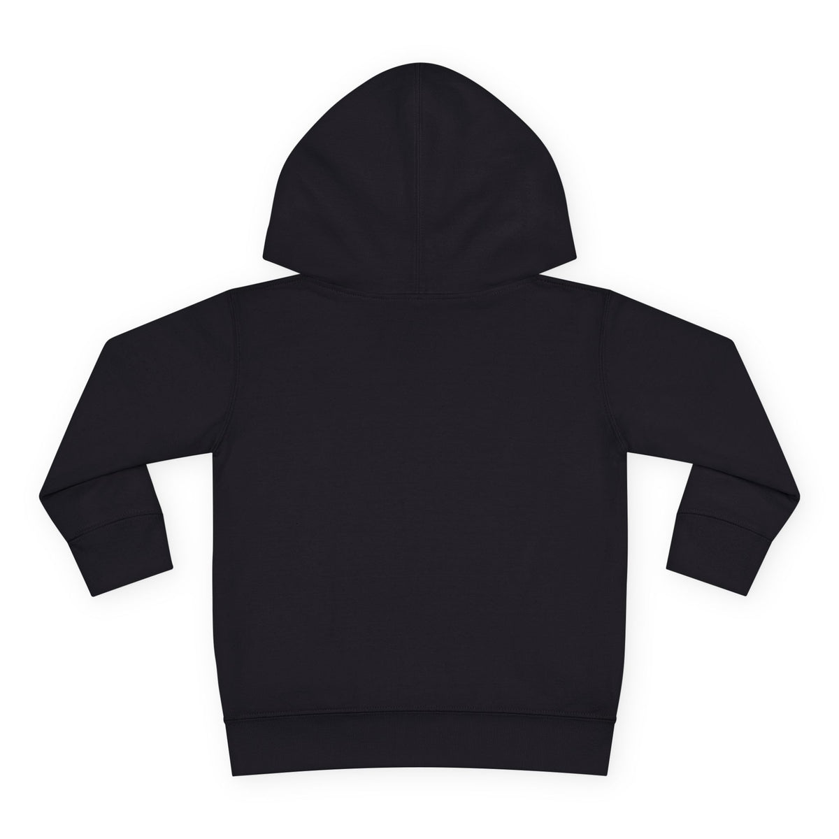 Toddler Hoodie - Santa Sleigh Winter Scene Pullover Christmas Special