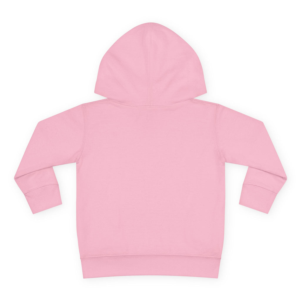 Toddler Hoodie - Santa Sleigh Winter Scene Pullover Christmas Special