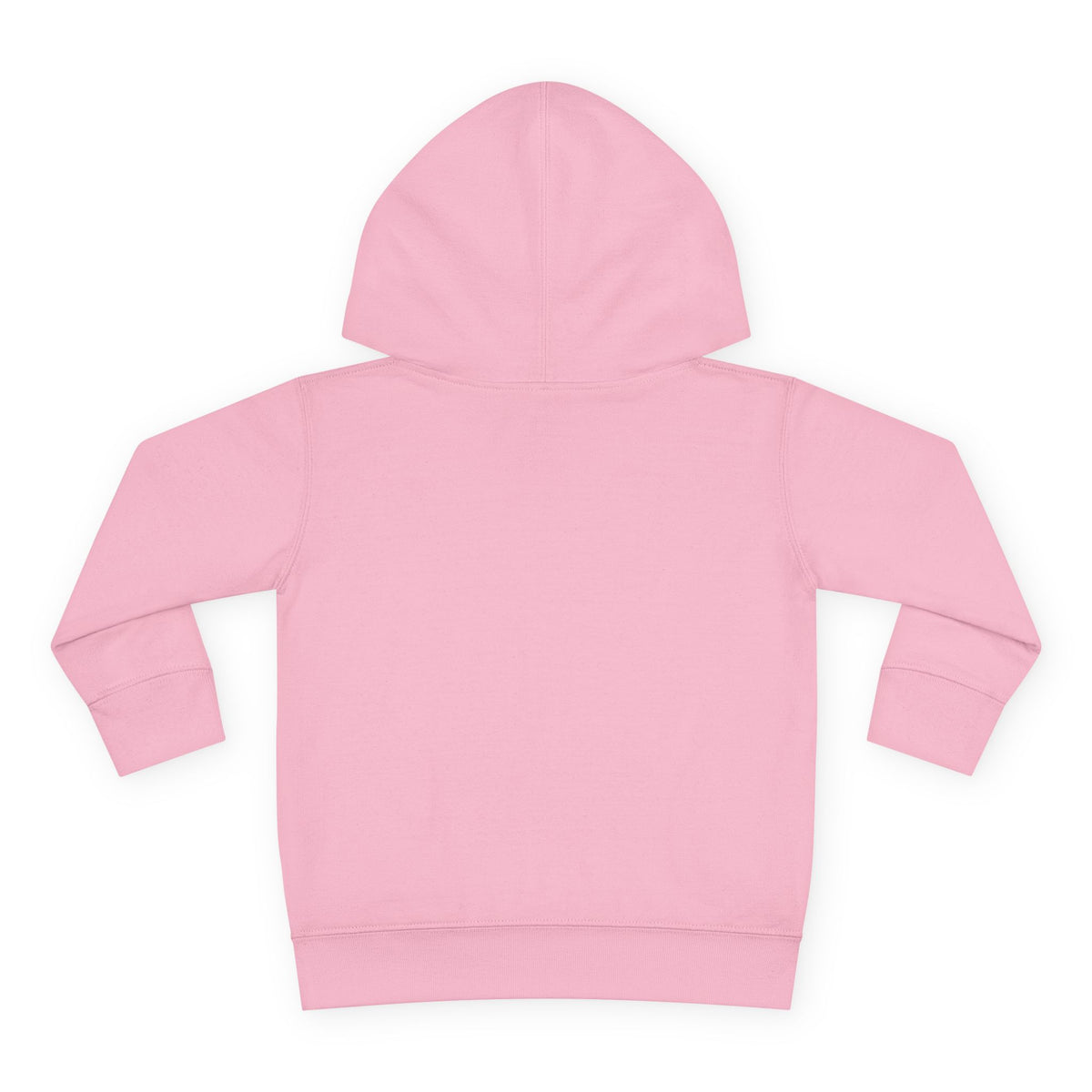Toddler Hoodie - Santa Sleigh Winter Scene Pullover Christmas Special