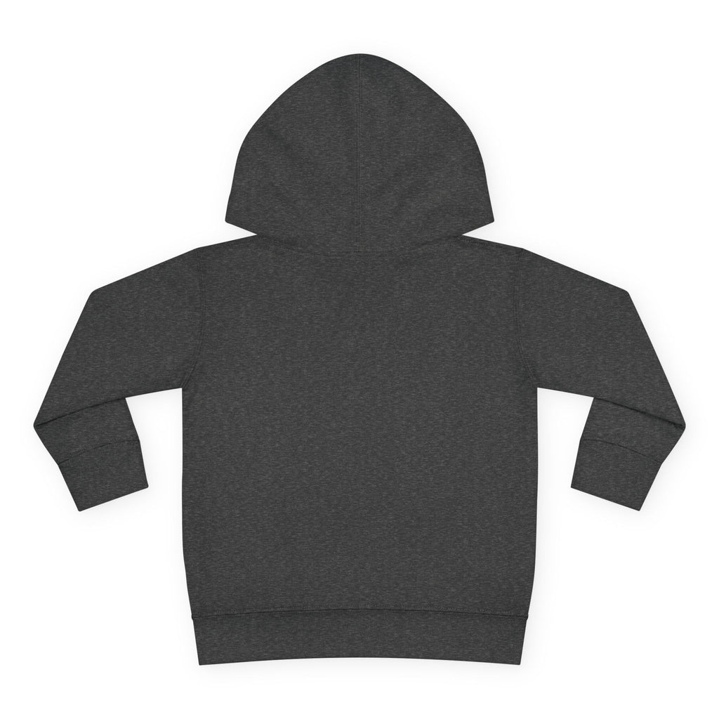 Toddler Hoodie - Santa Sleigh Winter Scene Pullover Christmas Special