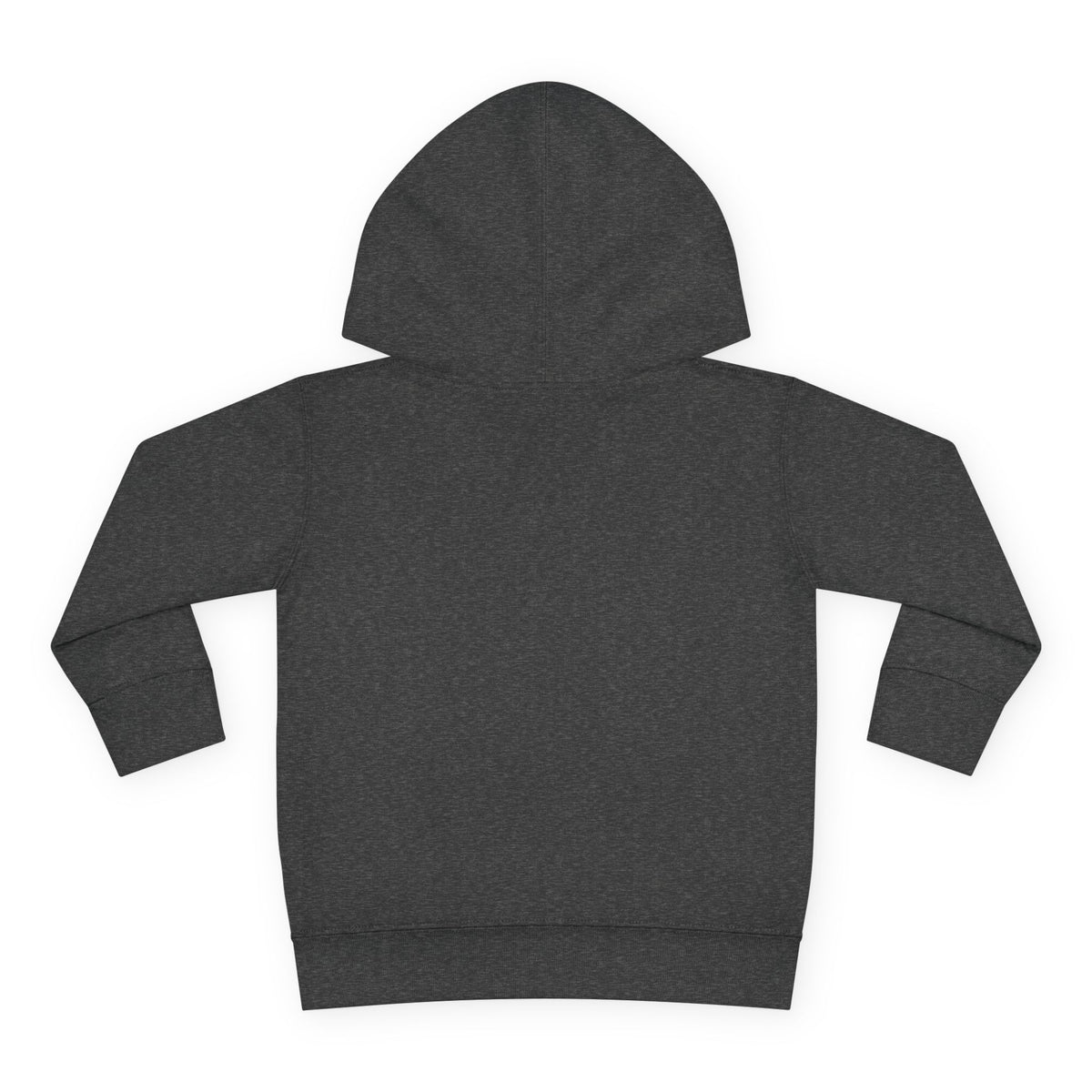 Toddler Hoodie - Santa Sleigh Winter Scene Pullover Christmas Special