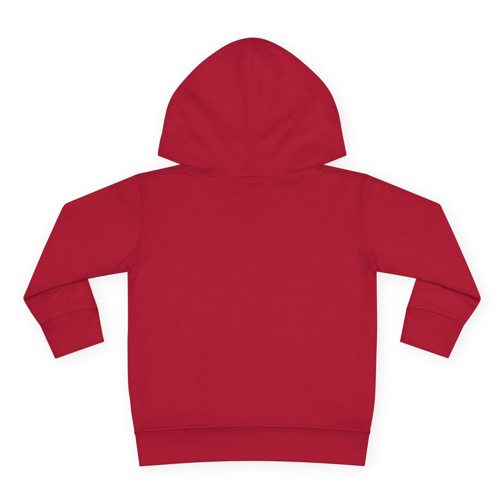 Toddler Hoodie - Santa Sleigh Winter Scene Pullover Christmas Special