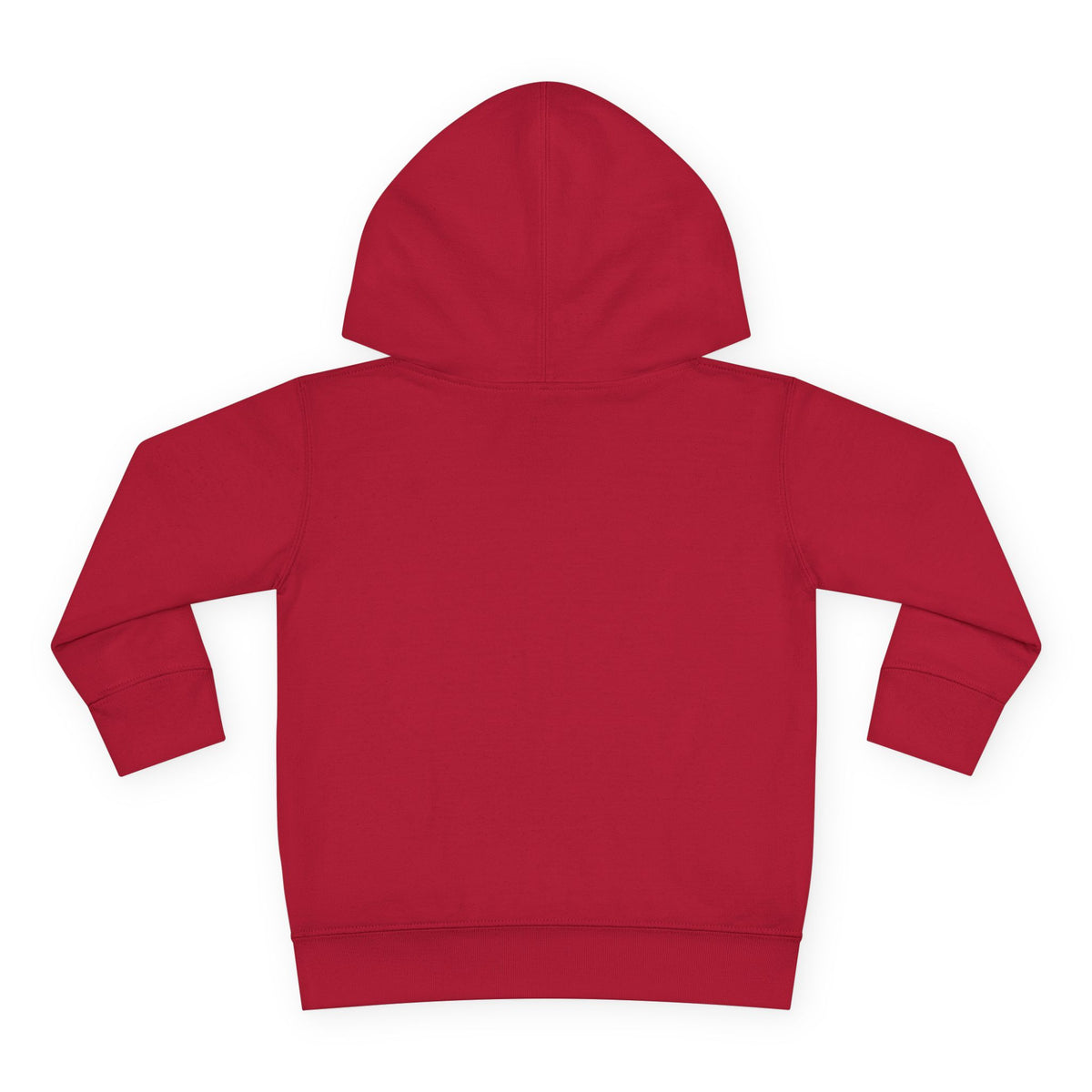 Toddler Hoodie - Santa Sleigh Winter Scene Pullover Christmas Special